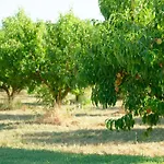 Il Frutteto
